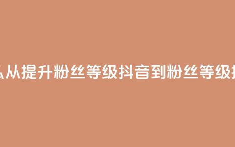 抖音怎么从0提升500粉丝等级(抖音0到500粉丝等级提升攻略) 第1张 抖音怎么从0提升500粉丝等级(抖音0到500粉丝等级提升攻略) 第1张