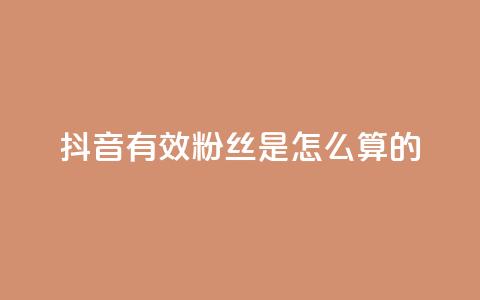 抖音有效粉丝是怎么算的 - 抖音有效粉丝如何计算及其影响因素解析! 第1张 抖音有效粉丝是怎么算的 - 抖音有效粉丝如何计算及其影响因素解析! 第1张