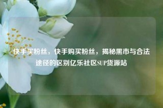 快手买粉丝，快手购买粉丝，揭秘黑市与合法途径的区别亿乐社区SUP货源站