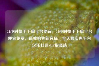 24小时快手下单平台便宜，24小时快手下单平台便宜免费，高效购物新选择，全天候实惠平台亿乐社区SUP货源站