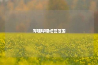 哔哩哔哩经营范围