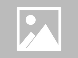 航运巨头赫伯罗特：从中国到美国的集装箱预订量激增50%