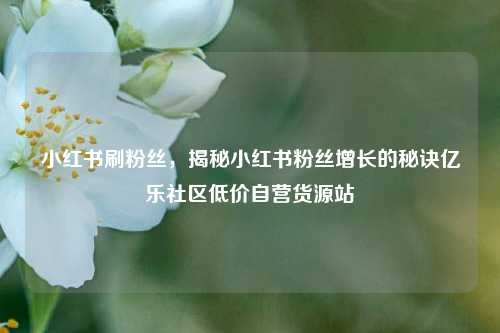 小红书刷粉丝	，揭秘小红书粉丝增长的秘诀亿乐社区低价自营货源站  第1张