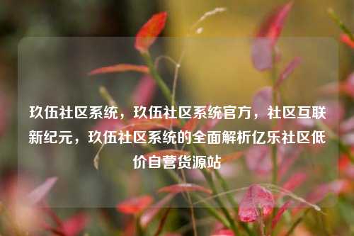 玖伍社区系统，玖伍社区系统官方，社区互联新纪元，玖伍社区系统的全面解析亿乐社区低价自营货源站  第1张