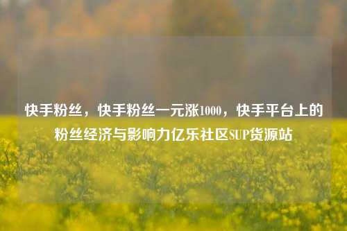 快手粉丝，快手粉丝一元涨1000，快手平台上的粉丝经济与影响力亿乐社区SUP货源站  第1张