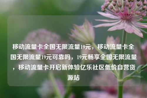 移动流量卡全国无限流量19元	，移动流量卡全国无限流量19元可靠吗，19元畅享全国无限流量，移动流量卡开启新体验亿乐社区低价自营货源站  第1张