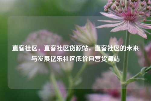 直客社区，直客社区货源站，直客社区的未来与发展亿乐社区低价自营货源站  第1张
