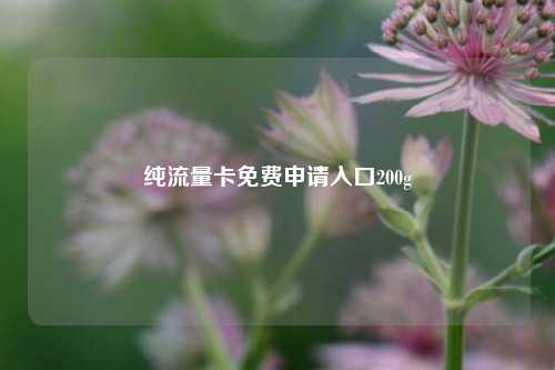 纯流量卡免费申请入口200g  第1张