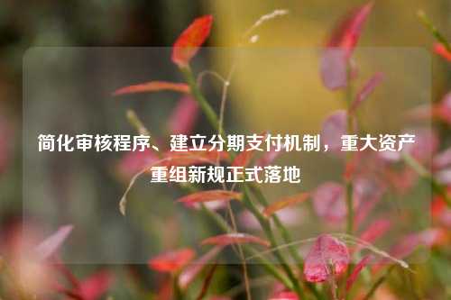 简化审核程序、建立分期支付机制，重大资产重组新规正式落地  第1张