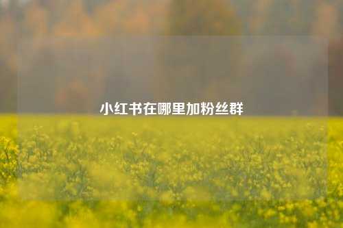 小红书在哪里加粉丝群  第1张