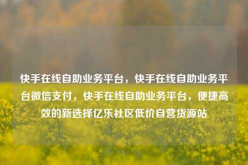 快手在线自助业务平台，快手在线自助业务平台微信支付	，快手在线自助业务平台，便捷高效的新选择亿乐社区低价自营货源站  第1张