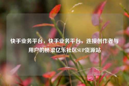 快手业务平台，快手业务平台	，连接创作者与用户的桥梁亿乐社区SUP货源站  第1张