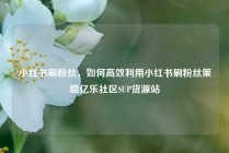 小红书刷粉丝，如何高效利用小红书刷粉丝策略亿乐社区SUP货源站