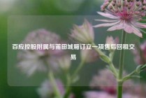 百应控股附属与莆田城厢订立一项售后回租交易