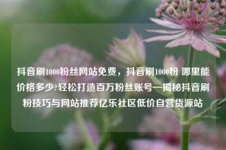 抖音刷1000粉丝网站免费，抖音刷1000粉 哪里能价格多少?轻松打造百万粉丝账号—揭秘抖音刷粉技巧与网站推荐亿乐社区低价自营货源站