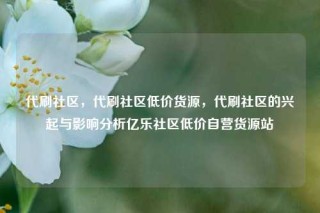 代刷社区，代刷社区低价货源，代刷社区的兴起与影响分析亿乐社区低价自营货源站
