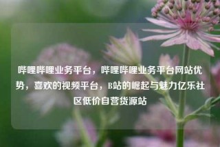 哔哩哔哩业务平台，哔哩哔哩业务平台网站优势，喜欢的视频平台，B站的崛起与魅力亿乐社区低价自营货源站