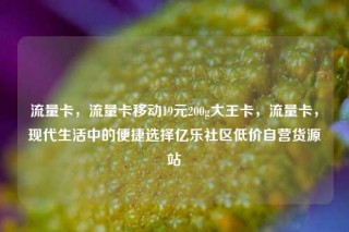 流量卡，流量卡移动19元200g大王卡，流量卡，现代生活中的便捷选择亿乐社区低价自营货源站