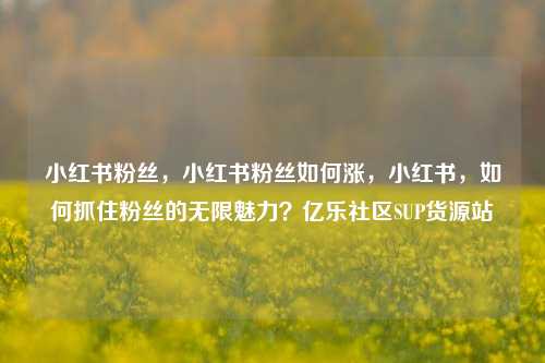 小红书粉丝	，小红书粉丝如何涨，小红书，如何抓住粉丝的无限魅力？亿乐社区SUP货源站  第1张