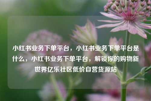 小红书业务下单平台，小红书业务下单平台是什么	，小红书业务下单平台，解锁你的购物新世界亿乐社区低价自营货源站  第1张