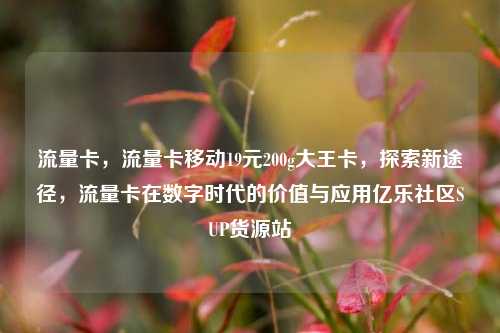 流量卡，流量卡移动19元200g大王卡，探索新途径	，流量卡在数字时代的价值与应用亿乐社区SUP货源站  第1张